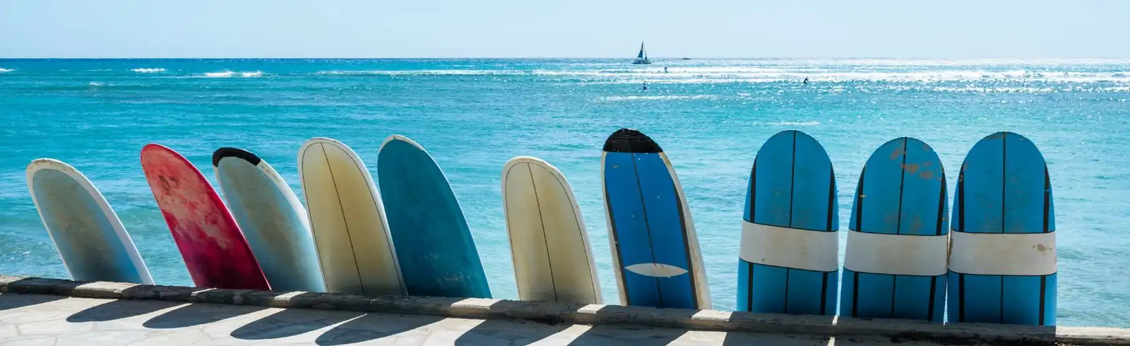 Row of Surfboards